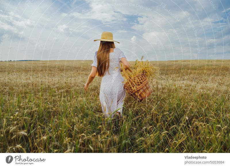Young woman in a hat with a wicker basket makes her way through a wheat field. Back view dress back rye hair blonde blue elegant rustic country alone summer