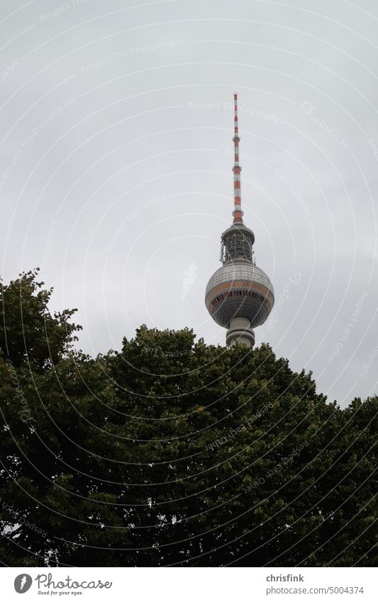 Berlin television tower behind tree canopy Television tower Landmark East West GDR Monument Alexanderplatz Germany Tourist Attraction Architecture Capital city