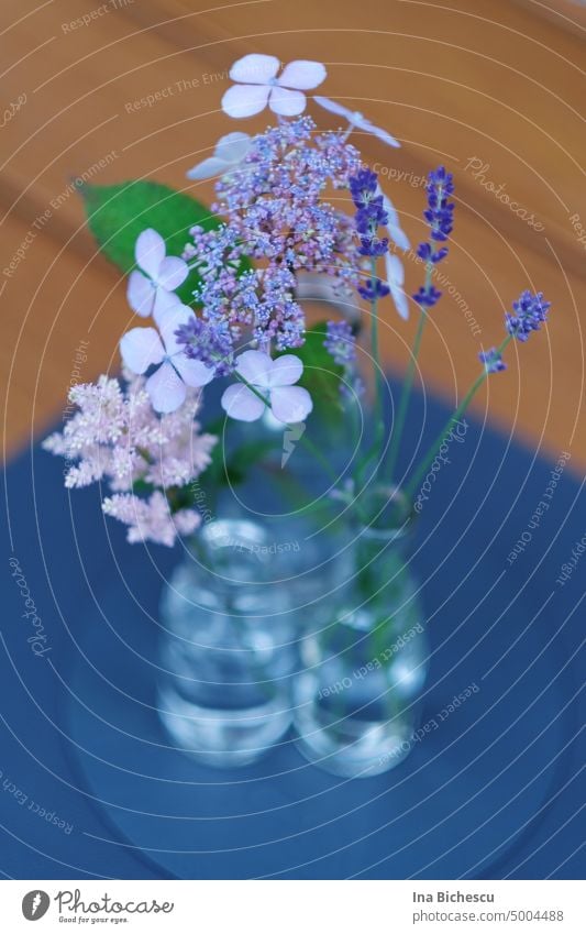 Hydrangea and lavender flowers in small transparent bottles on blue saucer, on a wooden plate. Lavender Fragrance Blossom Plant Violet Flower Summer Nature