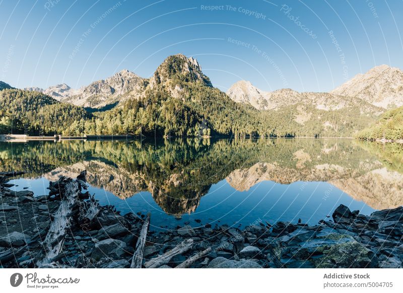 Green mountains on calm lake shore blue sky water reflection tree clean range landscape pyrenees lleida catalonia spain summer nature highland breathtaking
