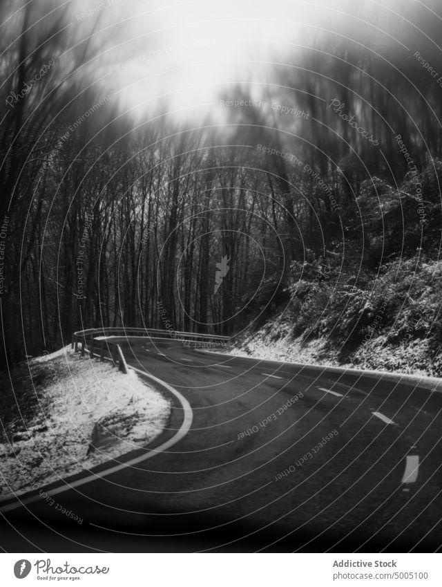 Asphalt road between leafless trees in winter forest windshield road trip way roadway asphalt route countryside car gloomy path narrow nature snow windscreen