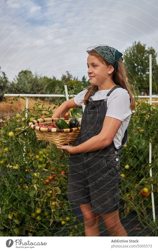 Smiling girl with vegetables in basket in countryside harvest garden collect season pile fresh agriculture organic gardener farmland agronomy rural natural