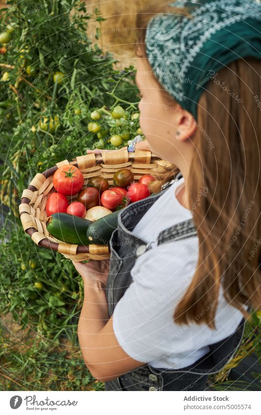 Girl with vegetables in basket in countryside girl harvest garden collect season pile fresh agriculture organic gardener farmland agronomy rural natural preteen