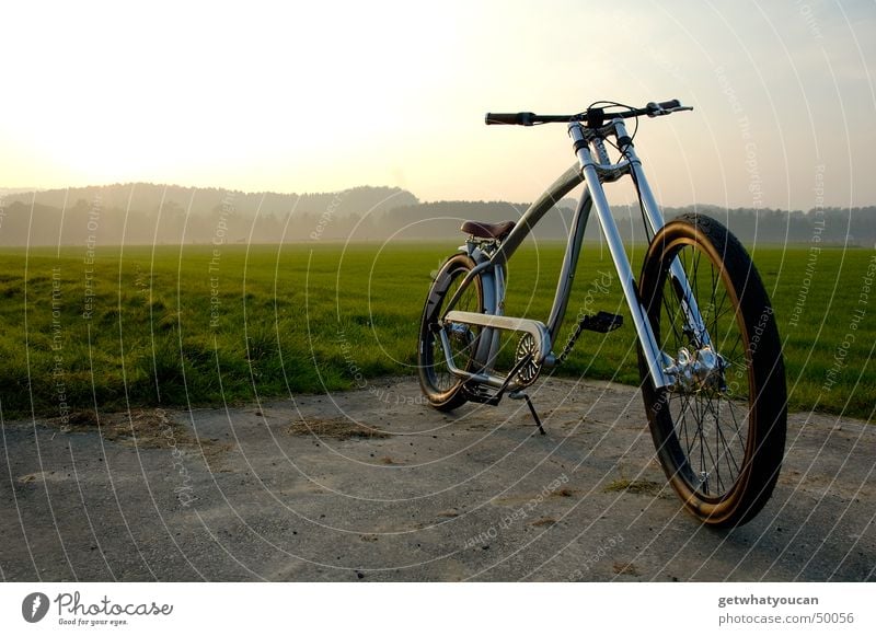 Suspended Bicycle Cruiser Americas Meadow Forest Light Physics Fork Edge Cool (slang) Evening Landscape Sky Sun Warmth Contentment Perspective Loneliness