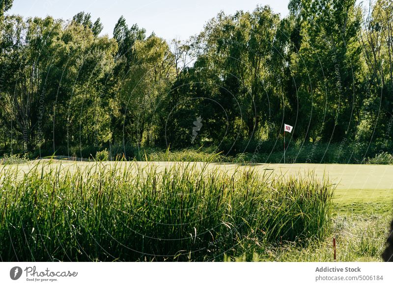 Golf course between lush green trees and grass golf nature landscape environment ecology vegetate verdant solitude countryside scene stick number sport greenery
