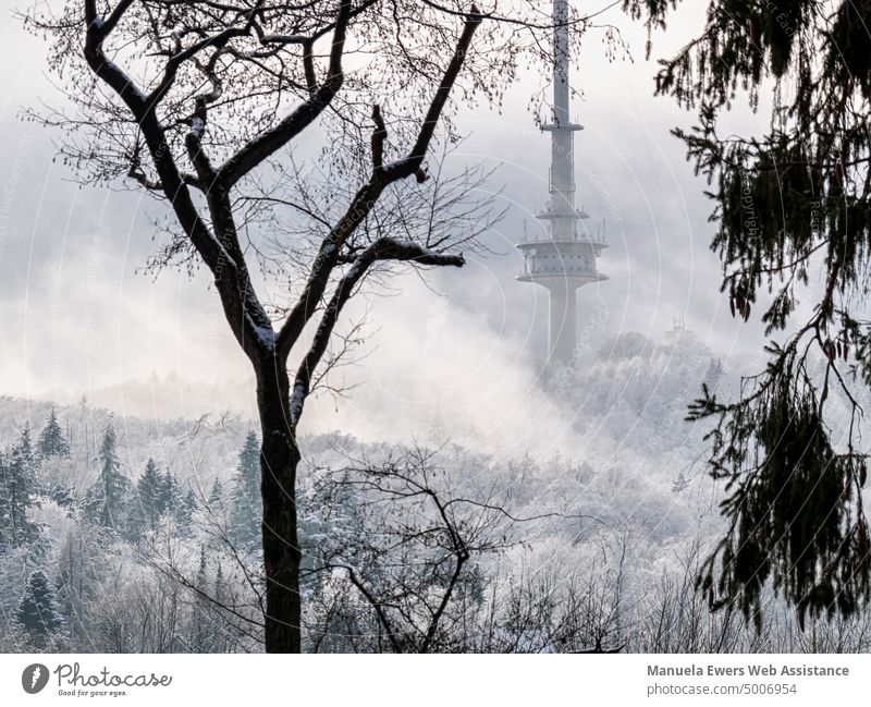 Behind bare trees, the Bielefeld TV tower rises dramatically out of the mist of a winter landscape Dramatic Television tower hünenburg Snow Winter snow-covered