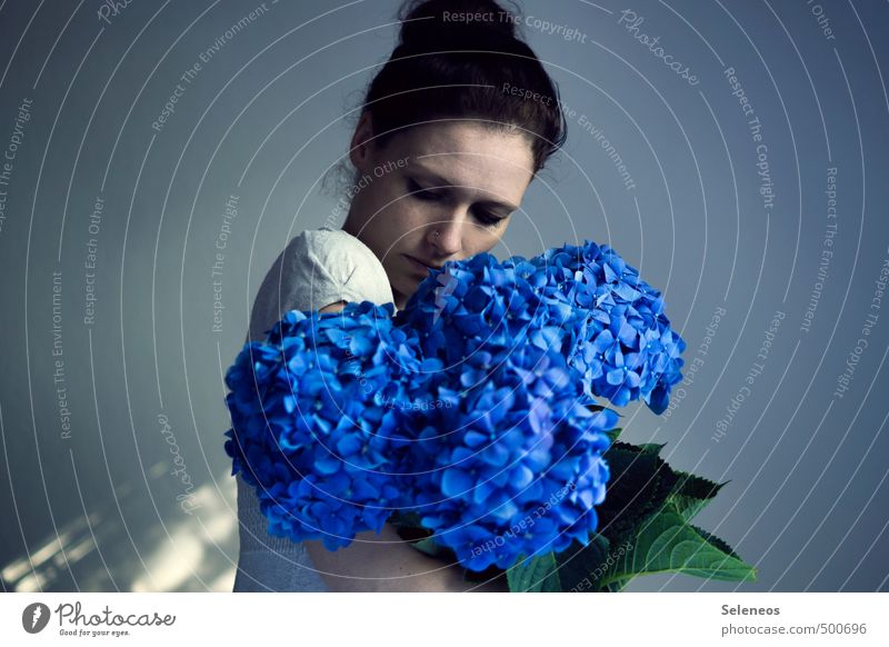 colour bombs Summer Human being Feminine Woman Adults Head 1 18 - 30 years Youth (Young adults) Plant Flower Blossom Hydrangea Hydrangea blossom Hydrangea leaf