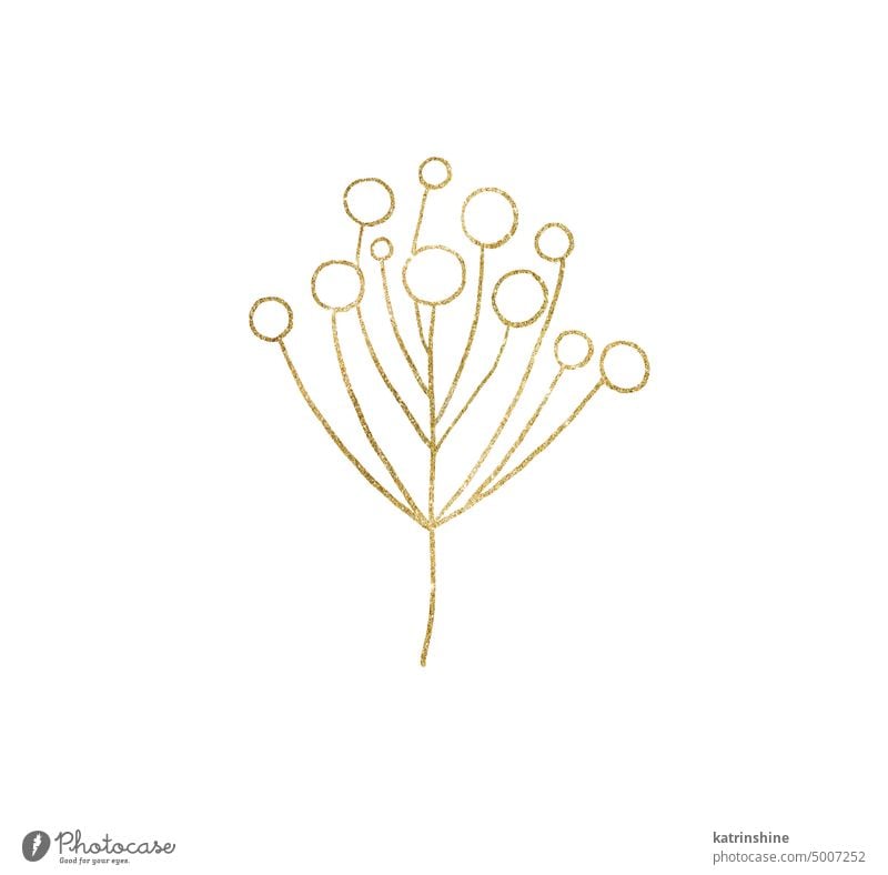 Christmas hand drawn berries silhouette, golden outlines. Christmas design Illustration Contour Decoration Drawing Element Graphic Hand drawn Holiday Isolated