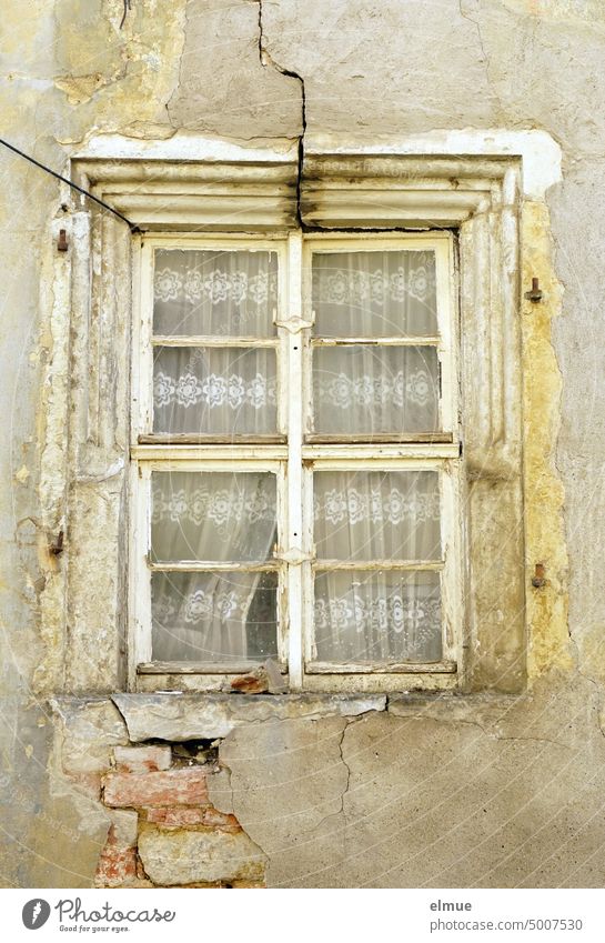 old wooden window with curtains in dilapidated house with cracks in the wall Wooden window Window Apartment Building lost place Transience living space Vacancy