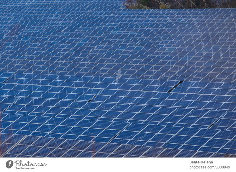 Grid the solar energy with solar modules Solar Energy Solar Power photovoltaics Energy industry Energy generation Sustainability Eco-friendly