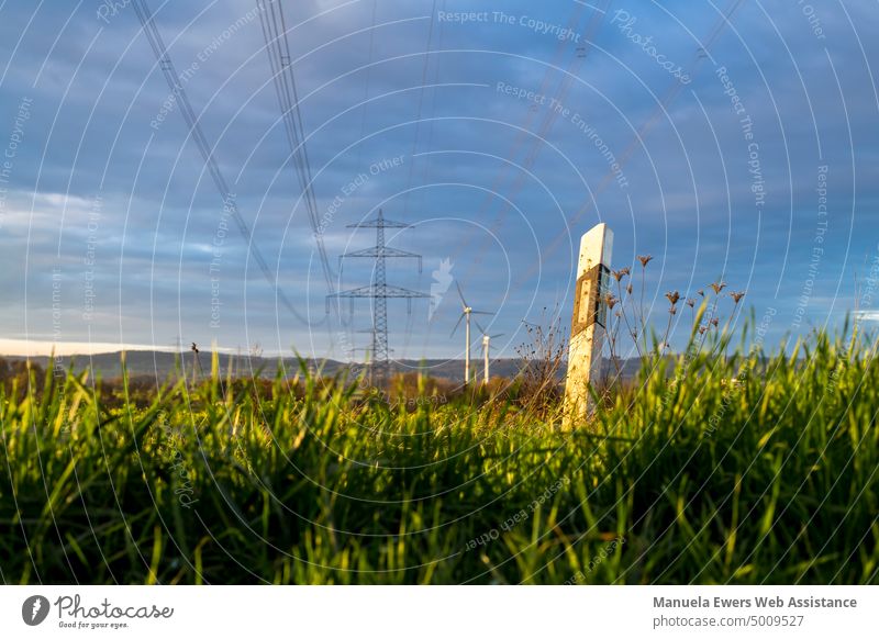 A grass-covered delineator is illuminated golden yellow by the sun, in the background you can see a power line stream Train path Reflector post Transport Grass