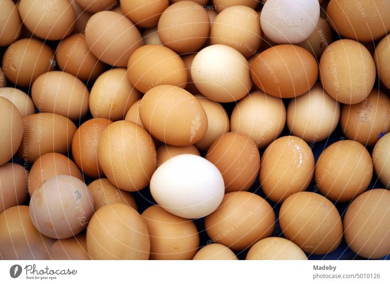 Fresh brown chicken eggs at the weekly market and bazaar in the Erenköy district of Sahrayicedit in Istanbul on the Bosphorus in Turkey Hen's egg breakfast egg