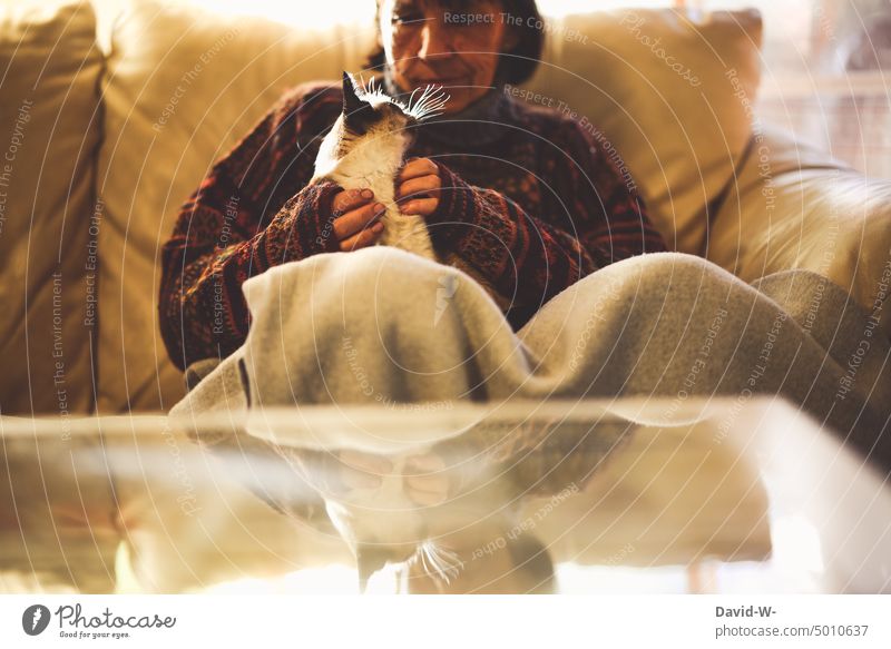 Woman with blanket and cat on the sofa Pet Cat Caress Winter chill warm sb./sth. at home Stroke Love of animals Purr Sofa reflection