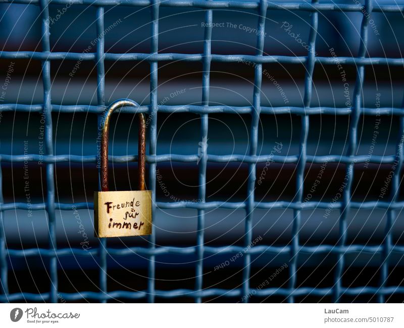 Friends forever Friendship Lock Loyalty Together Emotions Relationship Sympathy loyalty Sign Friendship expression Affection Declaration of love