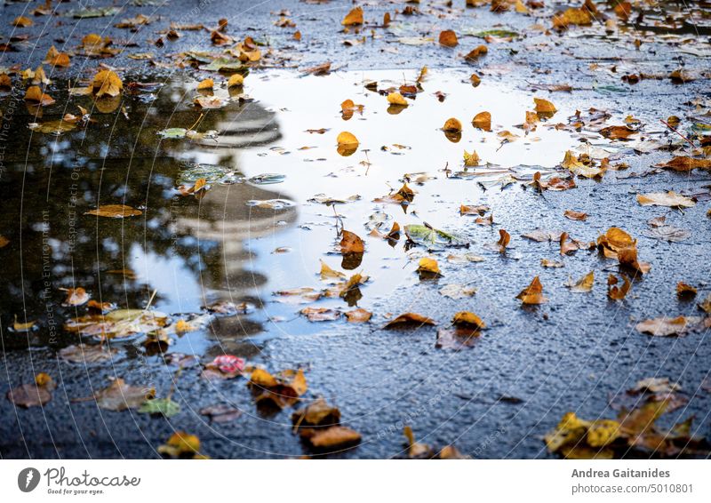 Puddle with autumn leaves in which the Heinrich Hertz Tower of Hamburg is reflected, horizontally puddle Autumn Rain autumn weather Autumnal rainy weather
