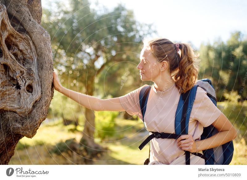 Young woman hiking on forest in european mountains. Concepts of adventure, extreme survival, orienteering. Single travel. touch olive tree girl hiker female