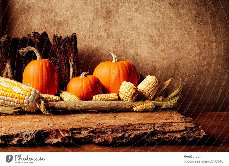 Minimal backdrop of rustic wooden board, corn and pine and pumpkin on the bottom part thanksgiving vegetable halloween harvest seasonal vintage greeting mix