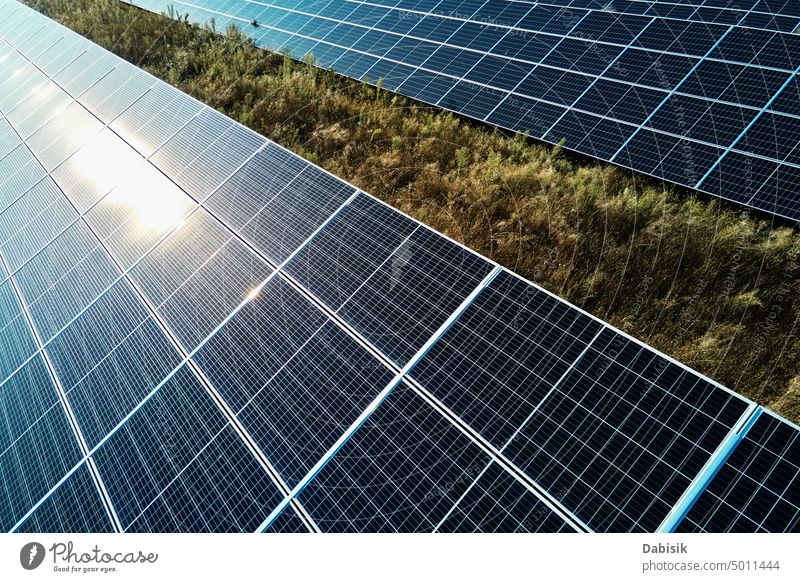 Solar photovoltaic panel, development of alternative renewable energy sources solar panel solar power solar energy energy crisis solar farm sustainable summer