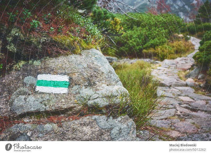 Trail marking painted on a rock in Giant Mountains on a foggy autumn day, color toning applied, selective focus, Poland. mountain trail hike path adventure sign
