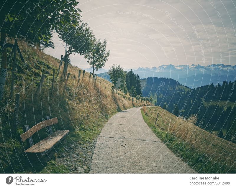 Wanderweg führt von der Rigi Kulm nach Rigi Klösterli hinunter wandern Berg Berge Schweiz Wanderung Landschaft urlaub reise himmel Natur erholung freizeit