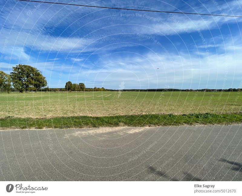 Field edge wide view clouds game Sky Landscape Summer Tree Agriculture Environment Beautiful weather Deserted Colour photo Plant Green Clouds