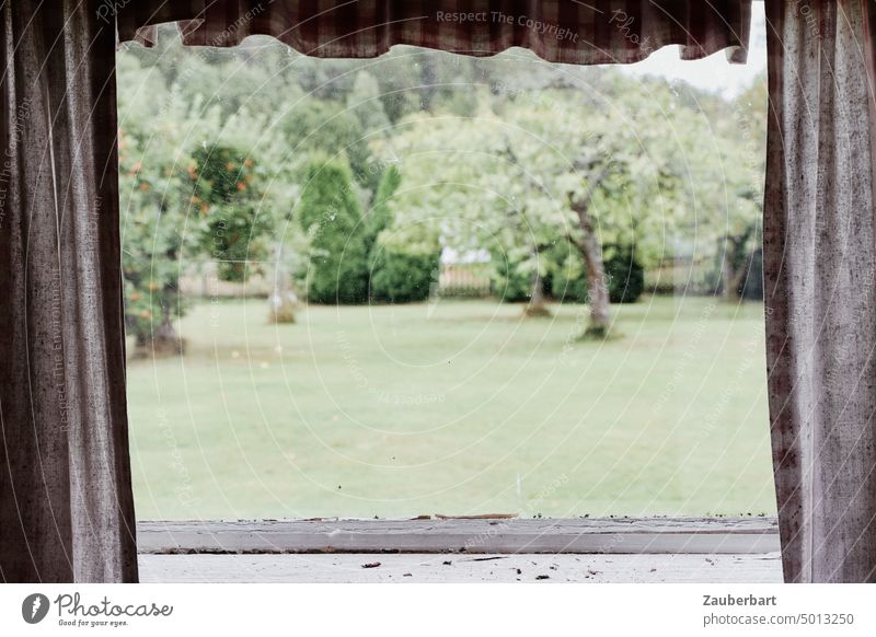 Tranquil garden view between two old checkered curtains, windowsill in front of it Garden Looking observation Observe Hide Checkered frowzy Window Curtain Drape