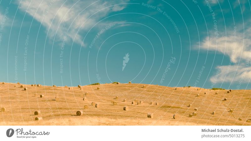 Harvested field with hay rolls in Tuscany tuscany Landscape Idyll vacation wide tranquillity Hay Coil bale Orange pastel Turquoise Sky