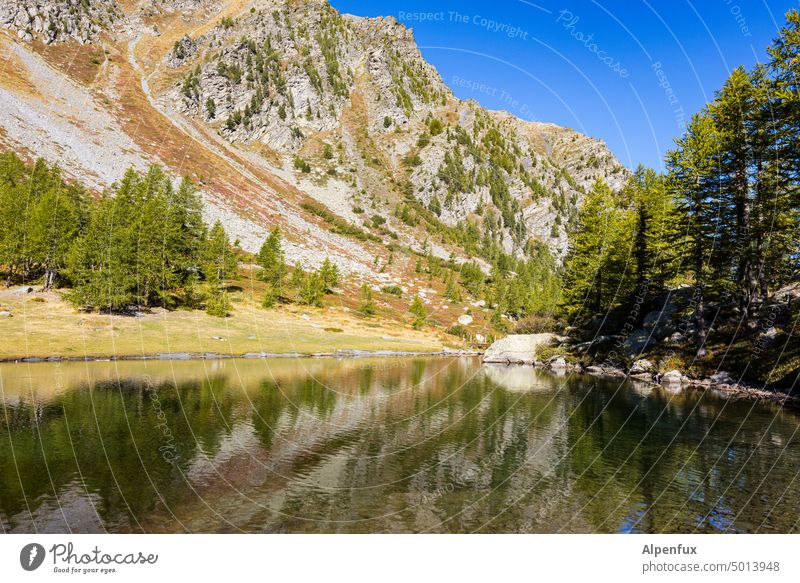 Vanishing Point Training mountain lake Mountain Lake reflection Reflection in the water Alps Deserted Exterior shot Water Nature Landscape Colour photo