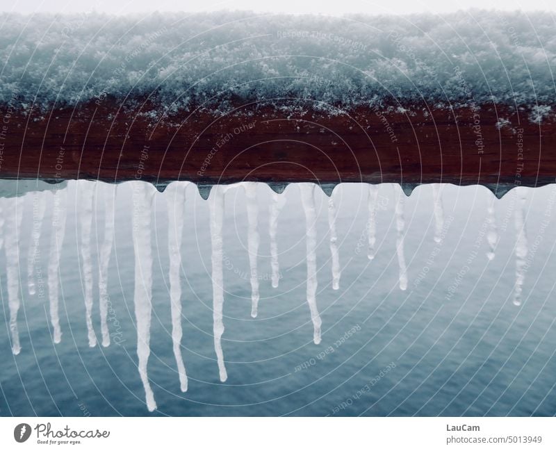 Water in different shapes and lengths Snow Ice Icicle Winter Cold icily Frost Frozen White Freeze Weather chill Elements of Nature Seasons Ice crystal