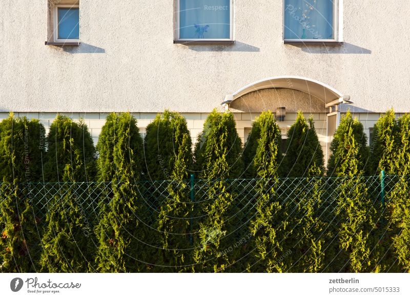 Thuja hedge House (Residential Structure) Facade Detached house dwell Apartment Building Fence Wire netting Wire netting fence neighbourhood Hedge thuja