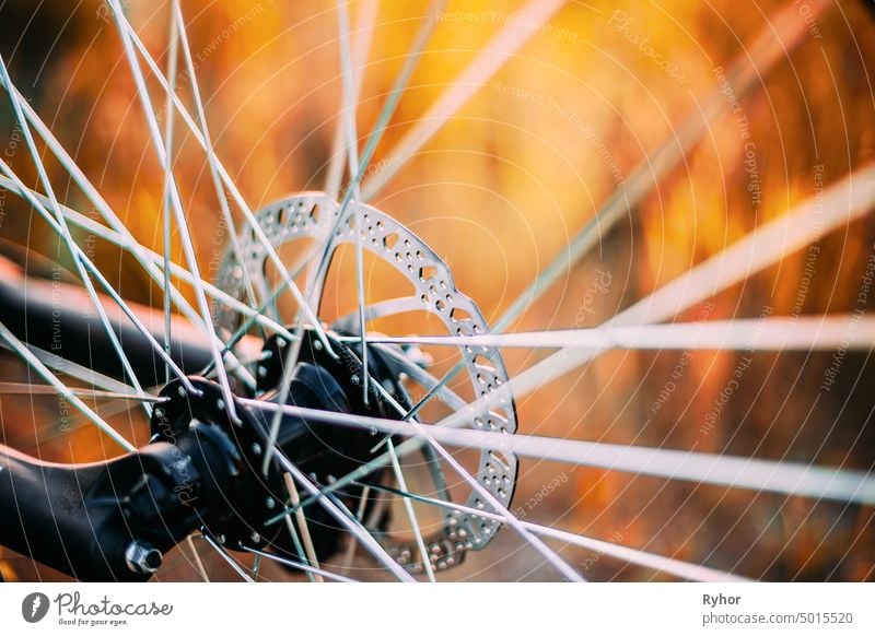 Close Up Bicycle Wheel. Spokes hobby orange healthy transport park detail mountain bike sunset disc brake active eco bicycle bicycling wheel recreation yellow