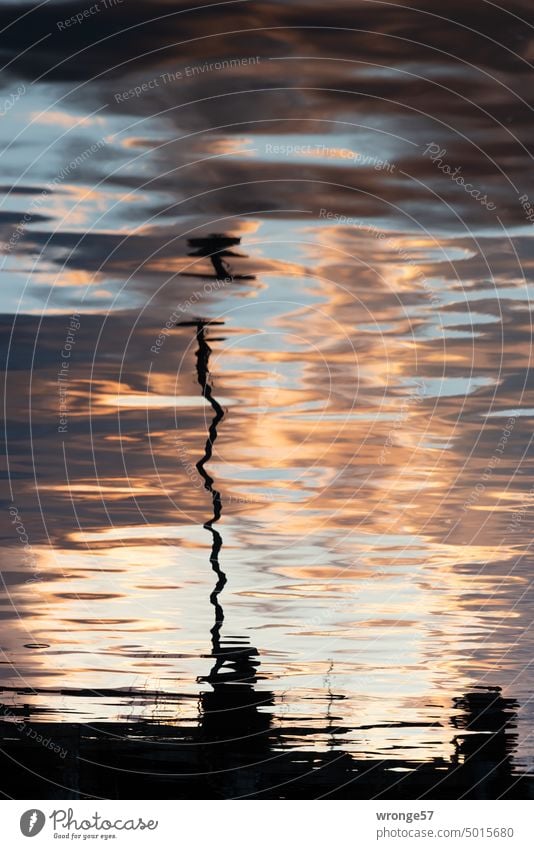 strange | evening redness topic day Strange Reflections in the water reflection Water Reflection in the water Surface of water Exterior shot Deserted
