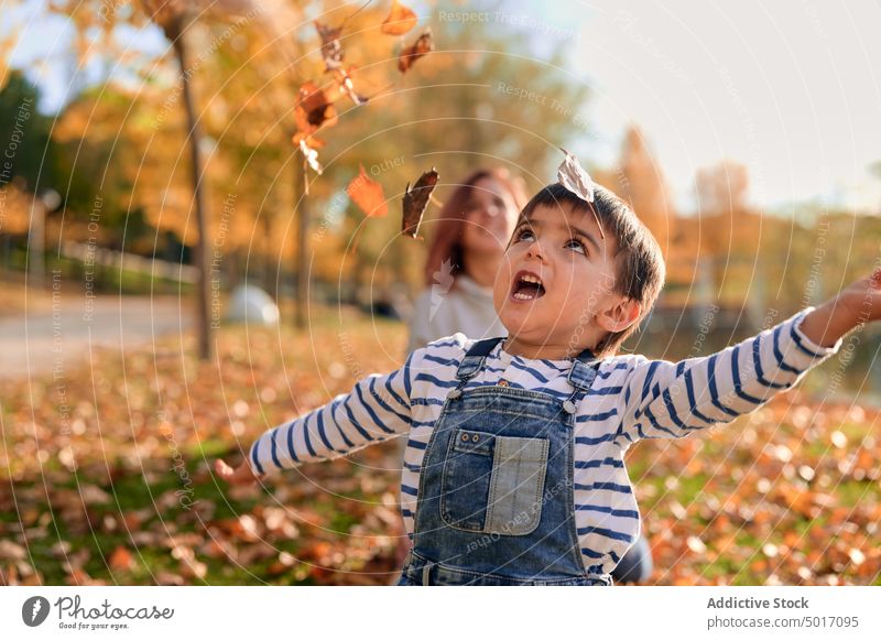 Cute child playing with leaves in autumn park toss leaf foliage fall having fun game kid boy cheerful happy cute childhood nature little joy weekend adorable