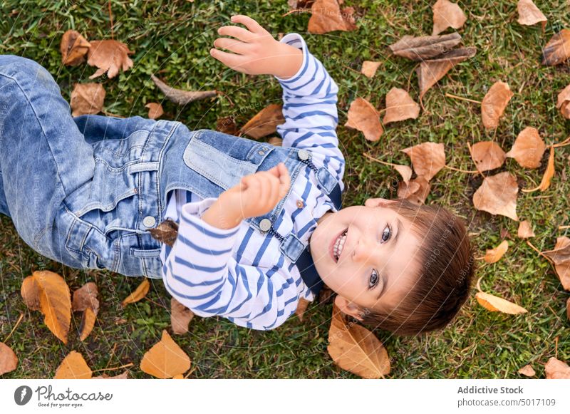 Happy child lying on meadow in park autumn kid boy foliage fall cute nature happy season cheerful leaf little carefree relax rest grass chill childhood adorable
