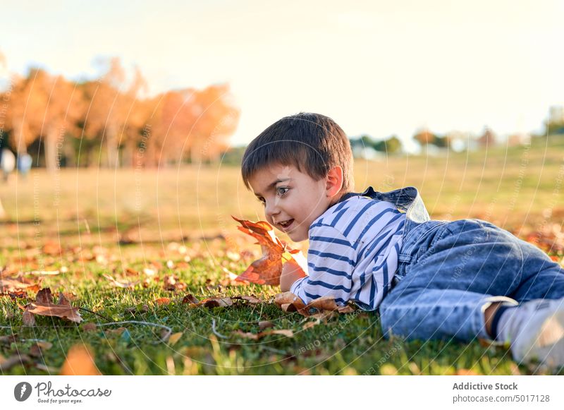 Happy child lying on meadow in park autumn kid boy foliage fall cute nature happy season cheerful leaf little carefree relax rest grass chill childhood adorable