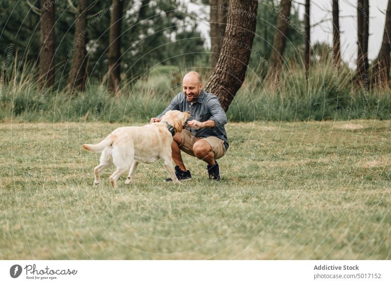 Man holding stick and playing with dog man jump game playful park fun happy pet nature green animal labrador domestic retriever joyful together friendship