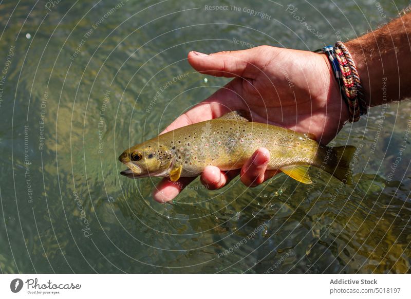 Anonymous fisherman man with a fish in hand into a mountain river person water recreation sport activity nature catch fishing summer hobby lifestyle action male