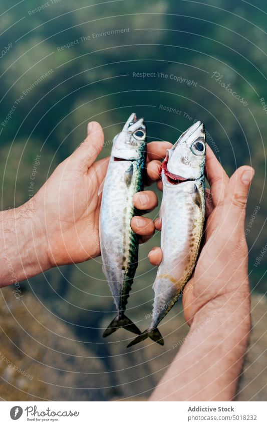 Man holding fishes in hand in water river fisherman hobby nature creature lake catch activity sport freshwater shore vacation hook fishing pulling male enjoying