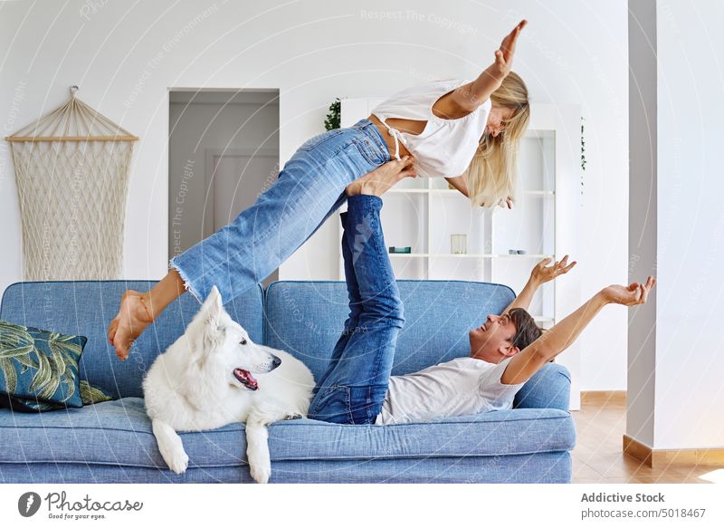Happy couple having fun on sofa at home lift cheerful together dog couch positive relationship white swiss shepherd affection smile pet happy joy animal