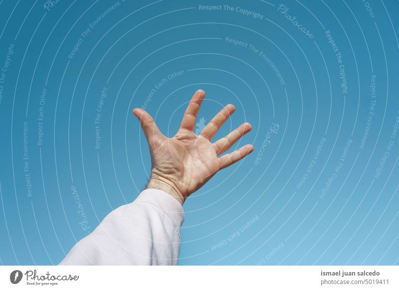hand up in the blue sky arm fingers skin palm body part sun sunlight touching feeling reaching pointing gesture gesturing concept freedom wallpaper hand raised