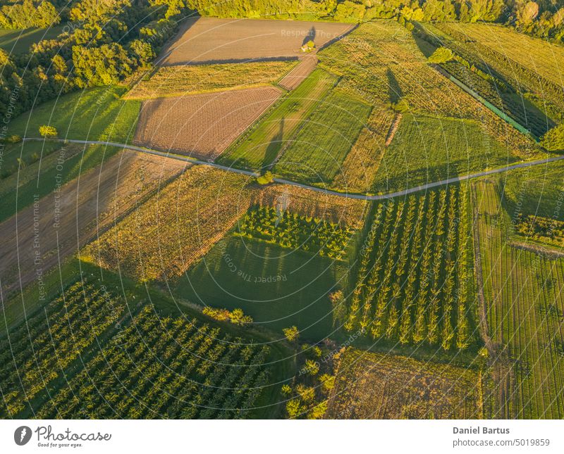Aerial view of the Rhone River. In the vicinity of the town of Le Pouzin - France. During sunset. Trees that cast a shadow over the surrounding fields. Farmland during sunset. Tree shadows