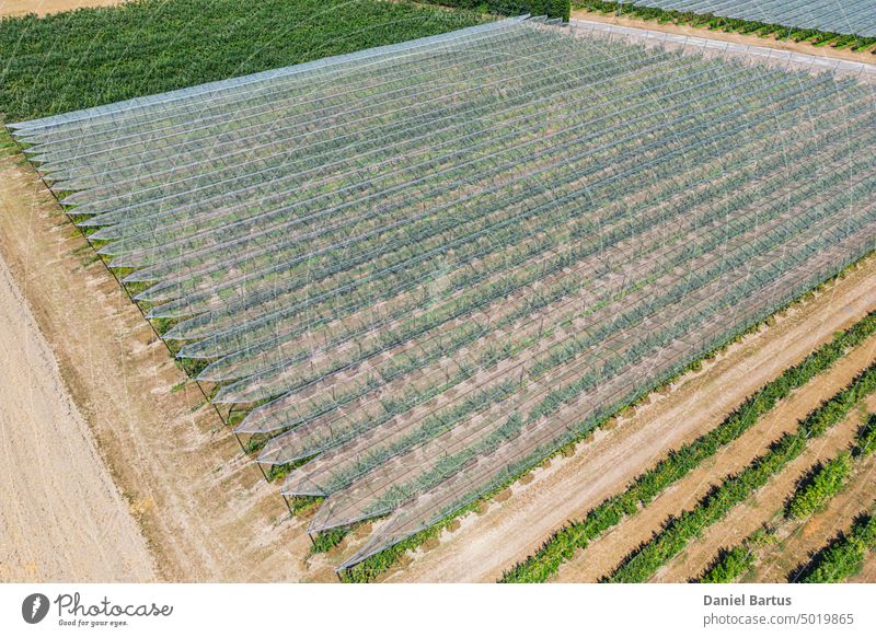 Hail net over apple and pears trees from the air - background agriculture Belt compost farm farming feed fertilizer field fruit garden green growing hail hill
