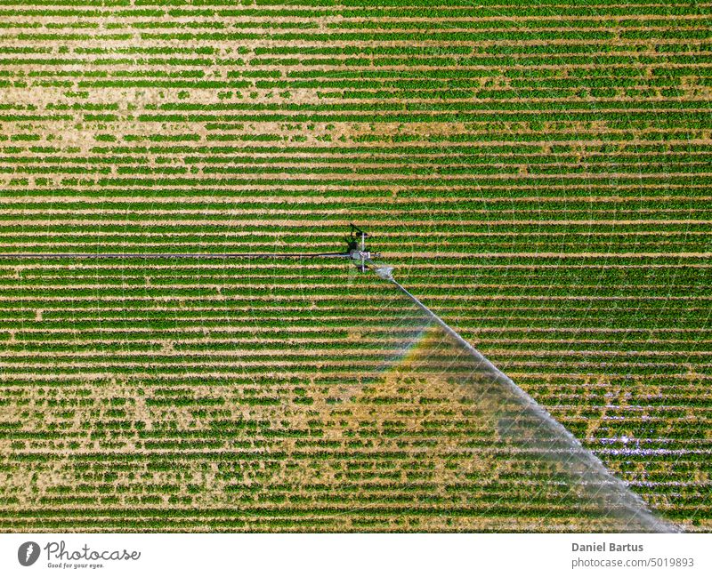 Aerial view by a drone of a field being irrigated by powerful irrigation system. agricultural agriculture background botanical canal compost crop design
