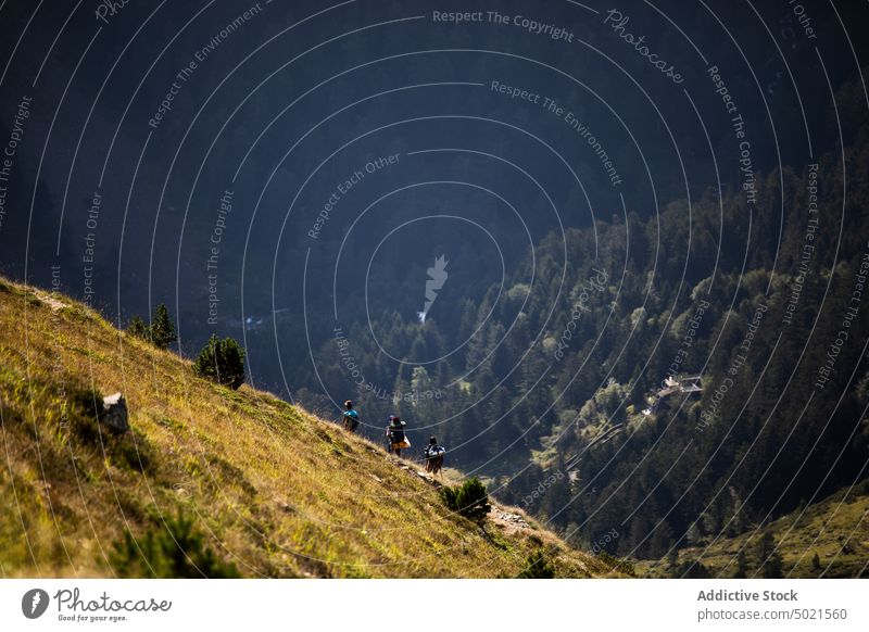 Group of mountaineers walking on slope in summer highlands traveler climb nature landscape green adventure hill hike forest pyrenees group people hillside hiker