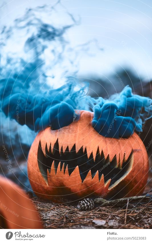 smoking halloween pumpkin Hallowe'en Pumpkin Eerie scary spooky Spooky Creepy Fear Autumn Night Orange Dark Decoration Mysterious Ghosts & Spectres