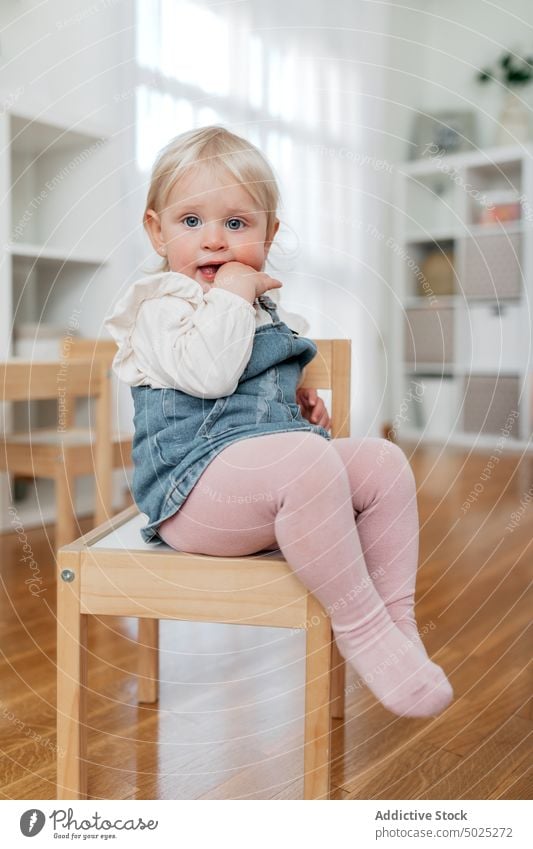 Adorable toddler girl on chair in house childhood curious attentive innocent sweet home portrait tight denim overall dress sit parquet charming sincere floor
