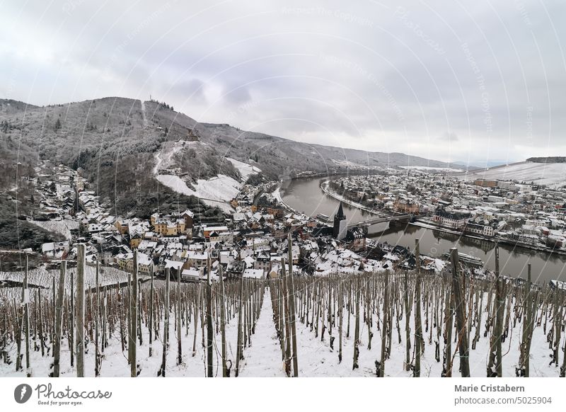 View of the vineyards in Bernkastel-kues Germany covered in snow during the winter bernkastel-kues germany holiday destination season snowy tourism vacation