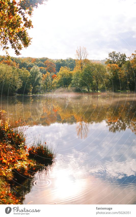 Morgenstimmung im Wald Weiher morgens warm Sonne sonnig Herbst Herbstlaub warme Farben orange Dunst Nebel See