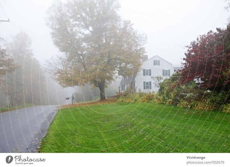 Misty road trip Trip Living or residing House (Residential Structure) Garden House building Landscape Autumn Bad weather Fog Tree Detached house Mailbox