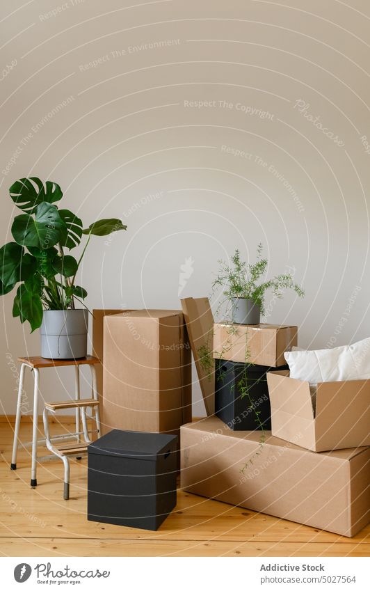 Various belongings in corner on light room during moving box carton plant pot relocate ladder container stack many home apartment new instrument cardboard flat
